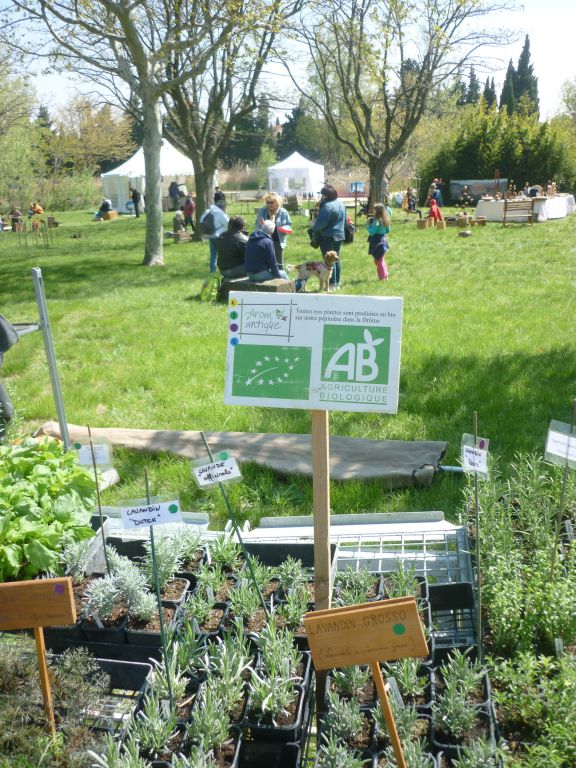 Stand de plantes biologiques.