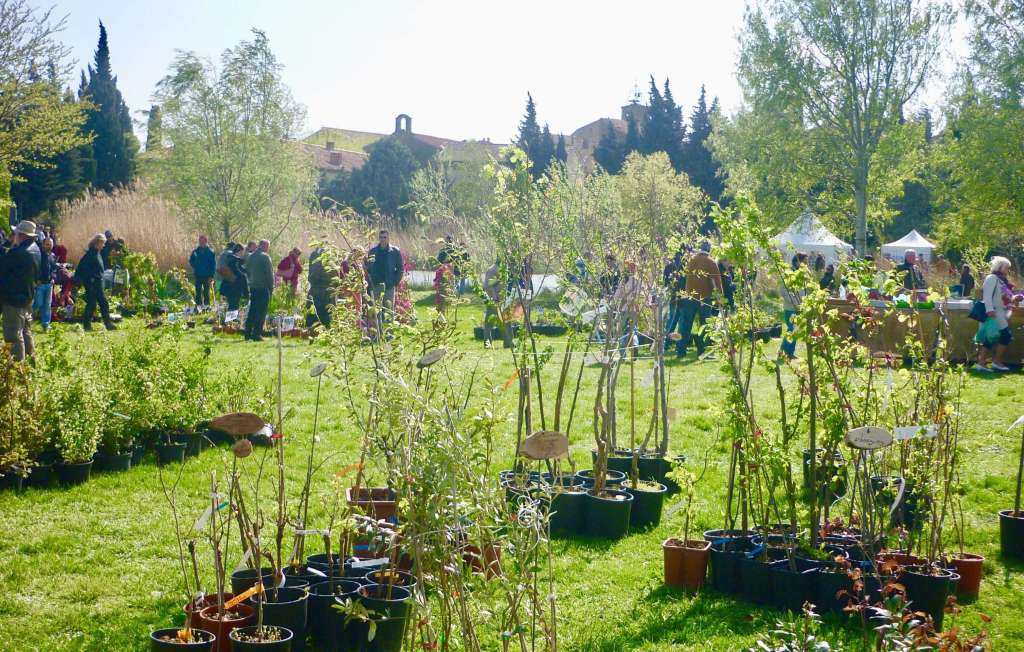 Déambulation du public pour découvrir les plantes.