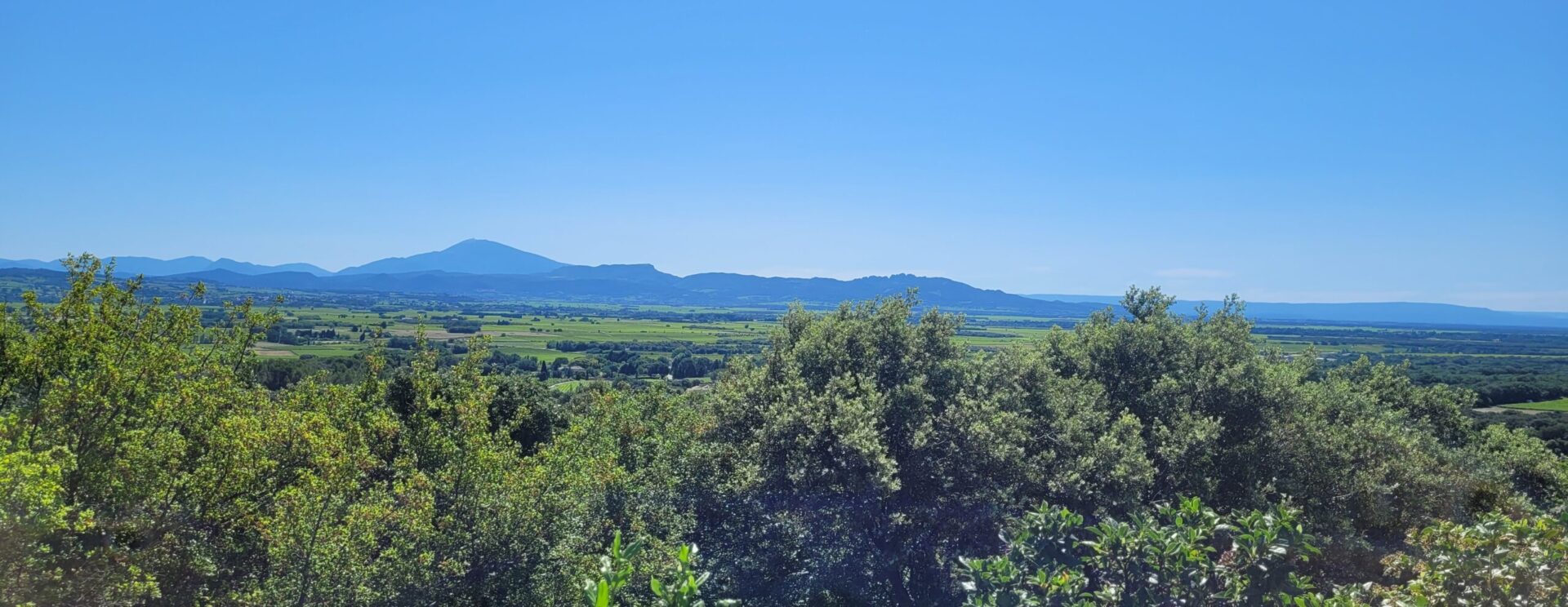 Vue sur le Mont Ventoux