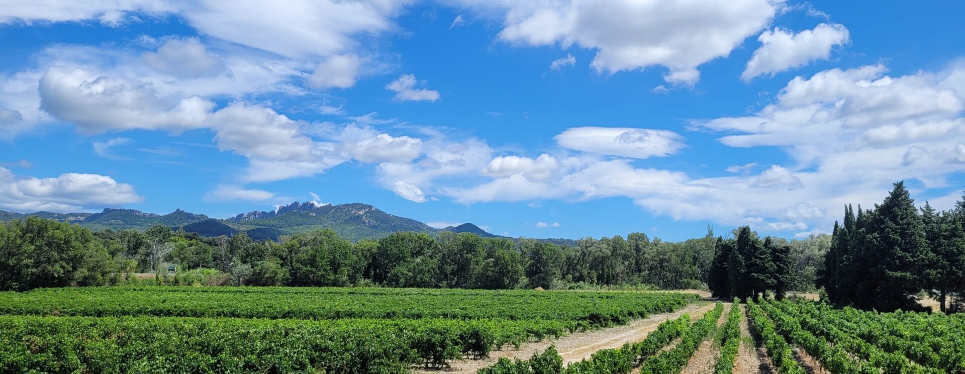 Territoire de vignobles