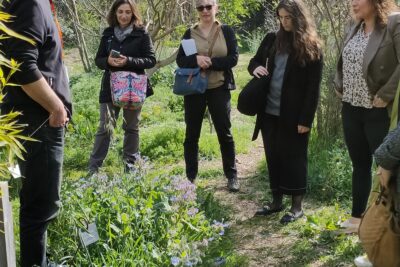 Agrandir l'image 6 sur 9, fenêtre modale