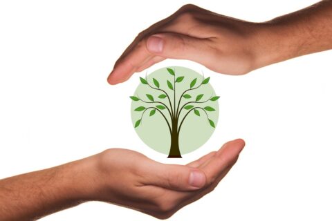 Protection de la planète