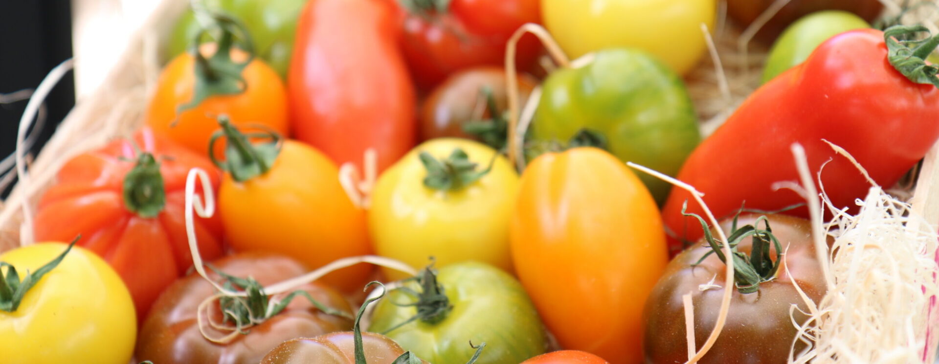 Barquette de tomates