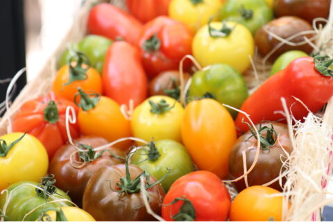 Barquette de tomates