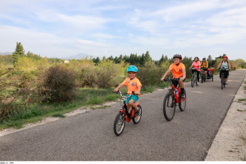 Vélos sur une voie cyclable