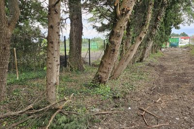 Agrandir l'image 1 sur 2, fenêtre modale