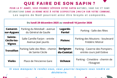 Agrandir l'image 3 sur 3, fenêtre modale